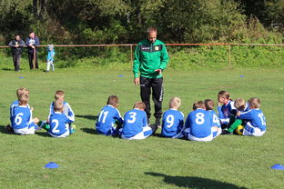 德甲球队构建战术模拟平台提升临场应变能力，德甲球队构建战术模拟平台提升临场应变能力